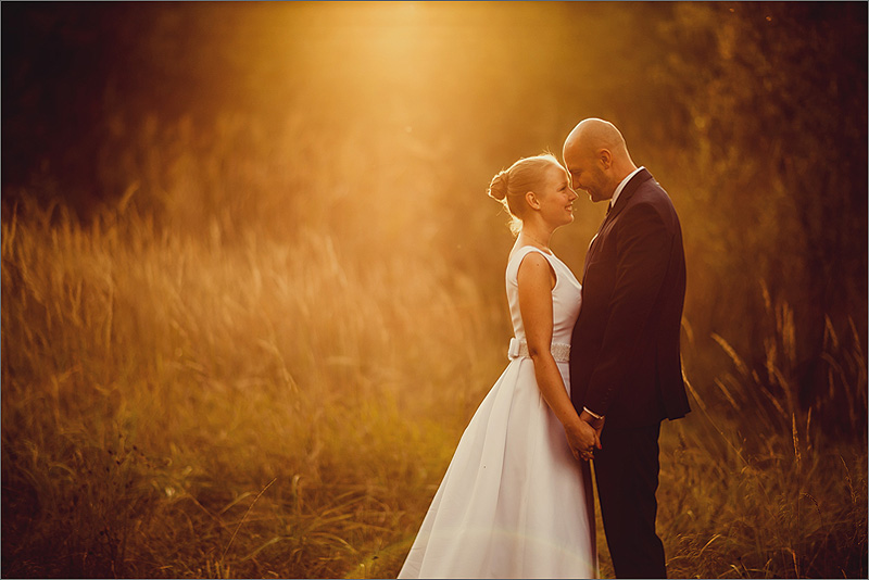 Plener ślubny słońce