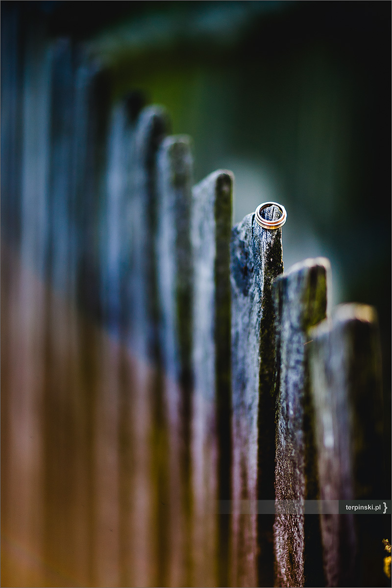 Zdjęcia ślub plener w lesie i na farmie szczegóły