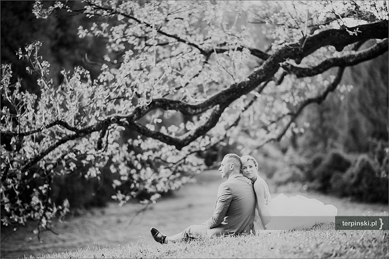 Fotografia ślubna i reportażowa plener