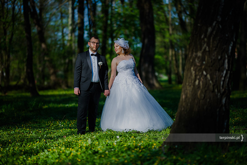 Fotografia ślubna w plenerze