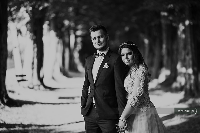 Sesja ślubna plener