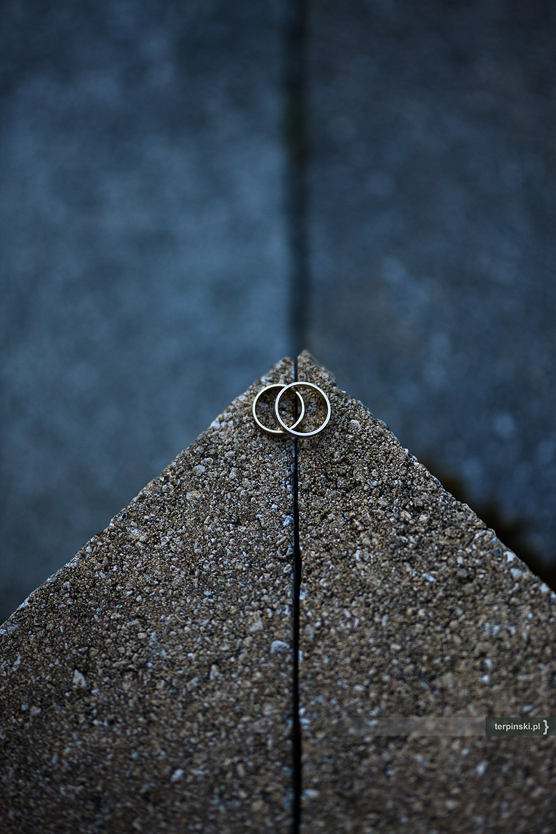 Fotografia ślubna plener