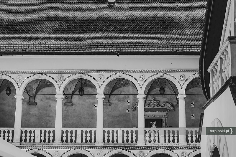 Sesja ślubna Rzeszów