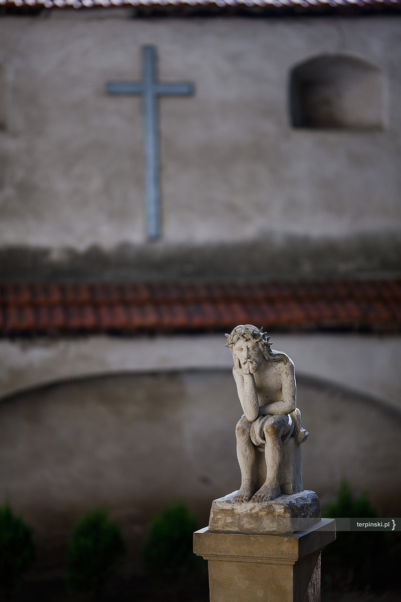 reportaż z wesela Rzeszów