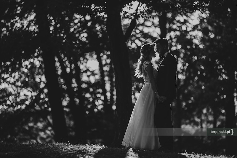 Zdjęcia ślubne w plenerze