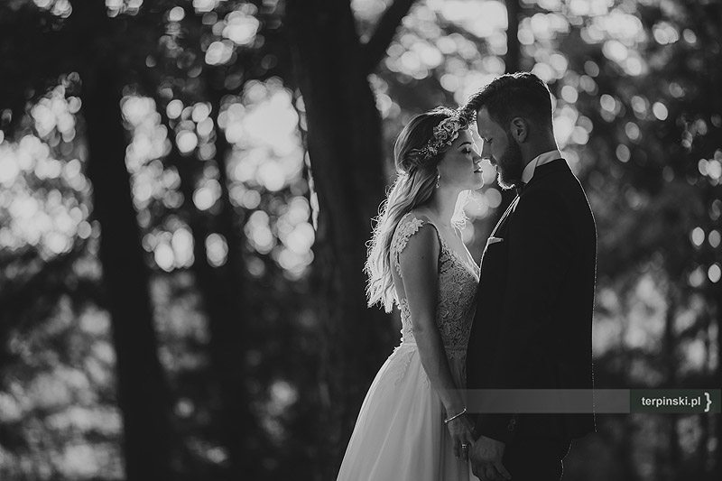 Sesja ślubna w plenerze